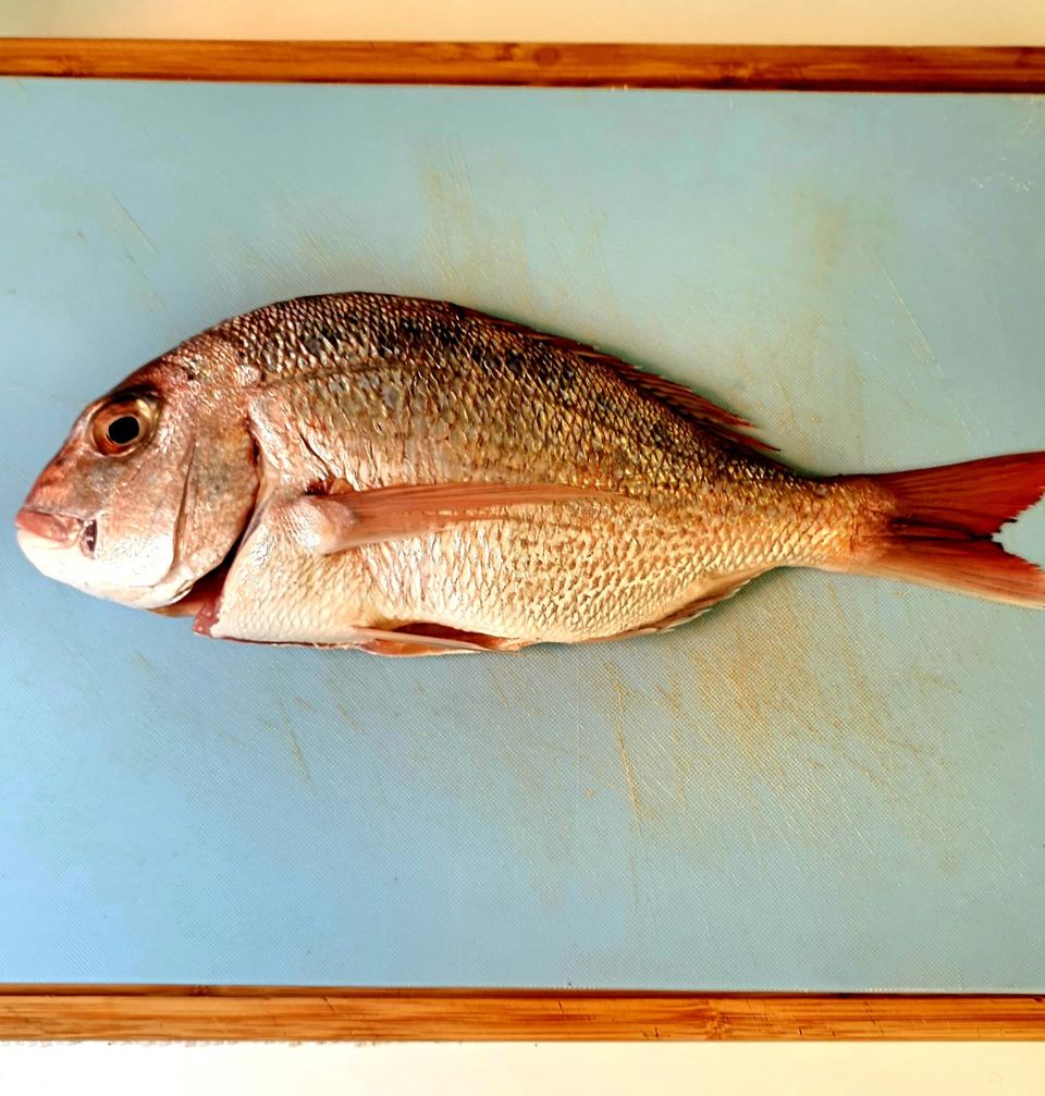 A whole snapper